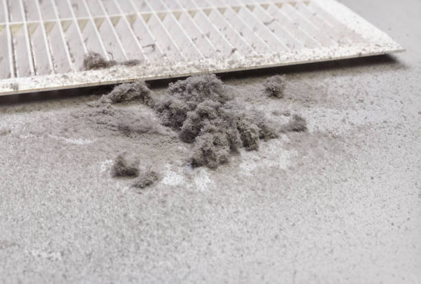 Best Affordable HVAC Duct Cleaning  in White Haven, PA