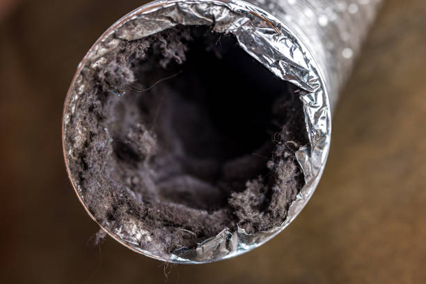 Best Professional Duct Cleaning Services  in White Haven, PA