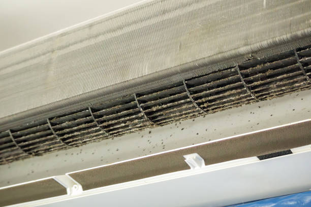 Best Emergency Air Duct Cleaning  in White Haven, PA